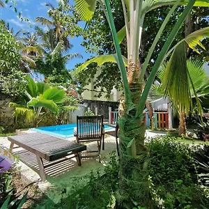*** Мини-отель Riviera Eco Travelers Доминиканская Республика